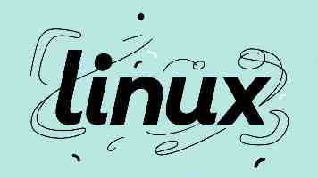 观天下·美国政坛｜马斯克为何称特朗普力推法案“令人作呕”