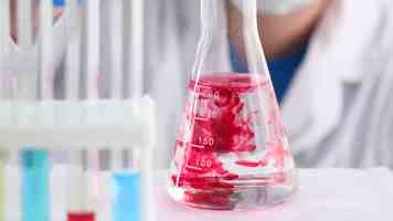 专家学者齐聚北外 共话人工智能时代外语学科建设