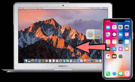 亭亭玉立国色天香：古典诗词中的绝美意象解析