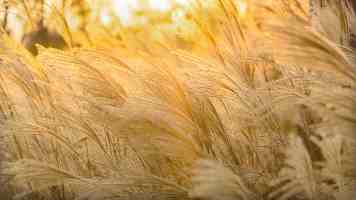 谁能帮你打造最符合要求的“中央厨房”