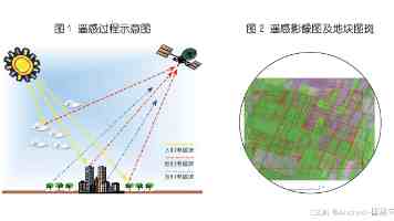 迷你世界花小楼被狂塞是什么梗-玩家整活名场面