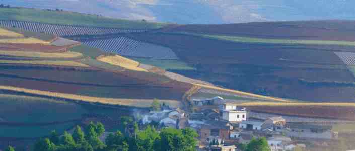 8点1氪丨SpaceX跌破IPO首日收盘价，市值蒸发4000亿美元；英国首相斯塔默宣布辞职；SK海力士市值首超三星电子