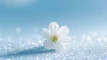 Renault Doesn’t Sell Cars in China, Yet It Treats China as a “Benchmark”