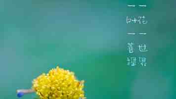 9.1免费素材网站推荐 - 高质量无版权图片视频资源合集