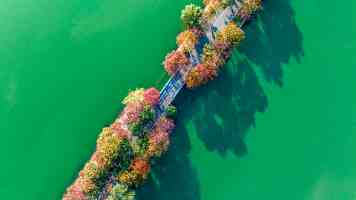文脉华章丨总书记心中“最宝贵的东西”