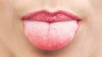 夜夜cao真实测评｜月体验与避坑指南